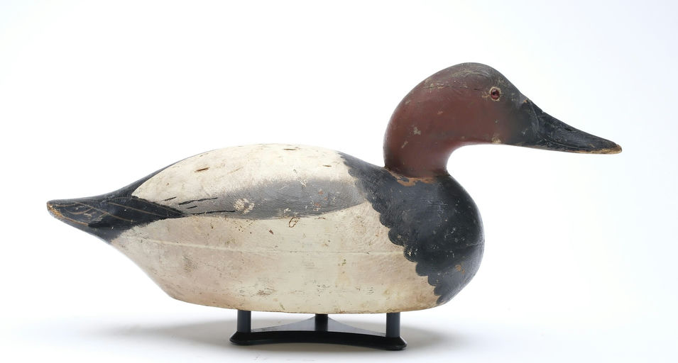 Mason Decoy Factory – Canvasback – 2025