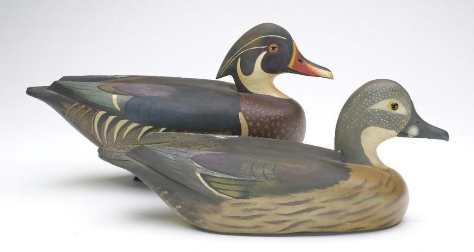 David W. Nichol – Wood Duck – 2023