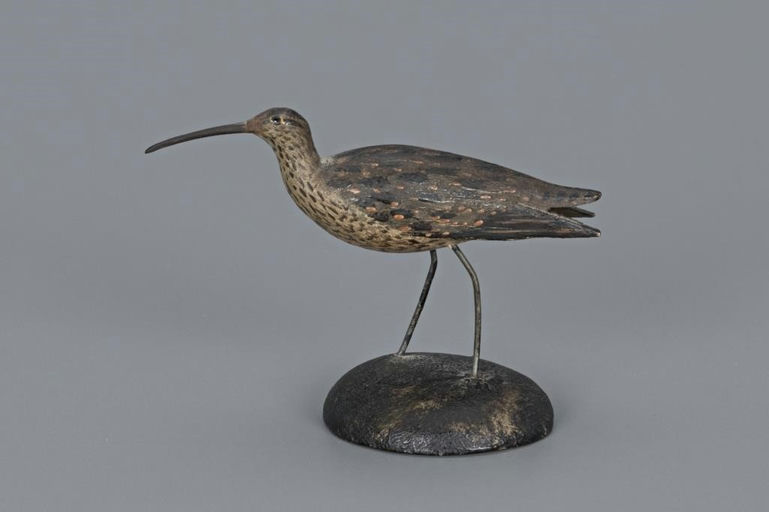 Elmer Crowell – Important Miniature Curlew – 2019