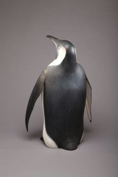 Frank Finney – Emperor Penguin – 2013