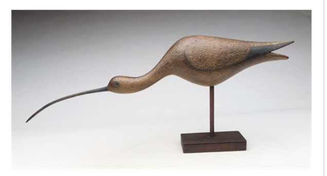 Mark McNair – Feeding Sickle Billed Curlew – 2020