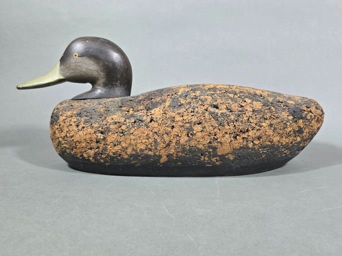 R. Madison Mitchell – Black duck – 2026