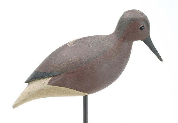 Frank Finney – Red Knot – 2023