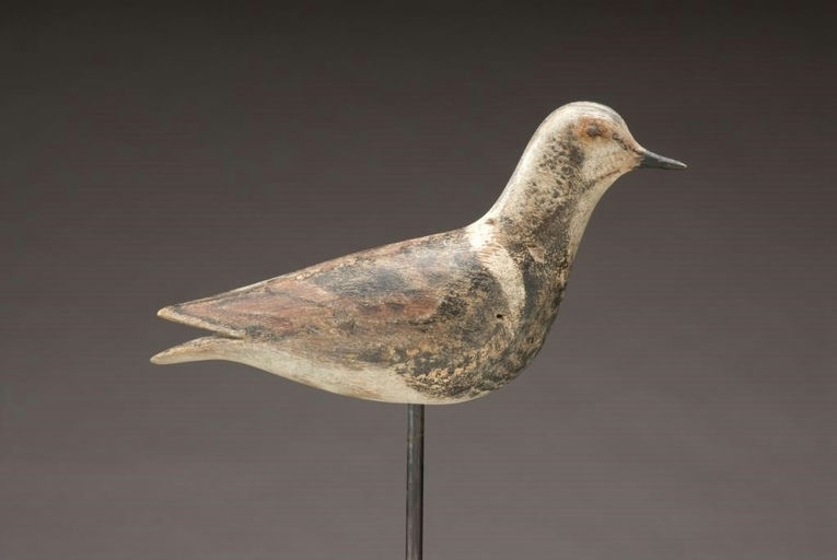 Lothrop Holmes – Exceedingly Rare Ruddy Turnstone – 2010