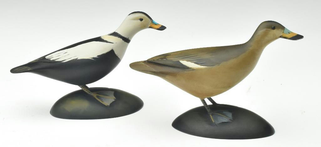 Sean Sutton – Pair of Miniature Labrador Ducks – 2023