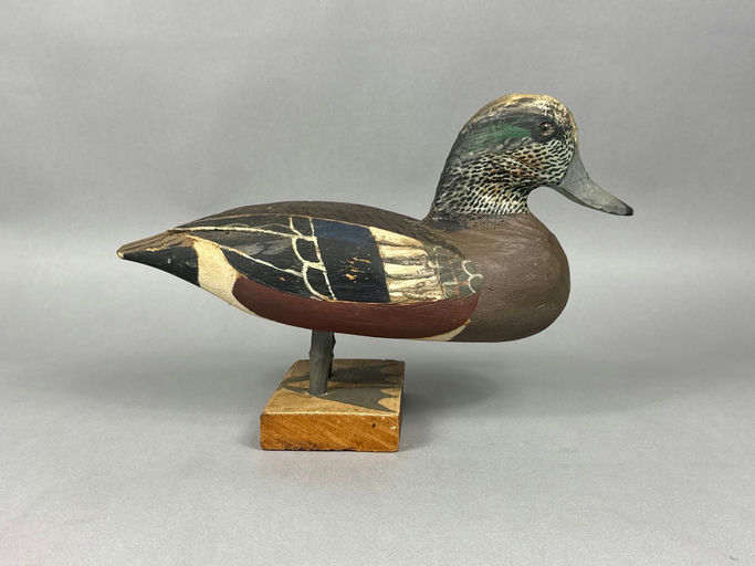 Lloyd Tyler – Wigeon – 2026
