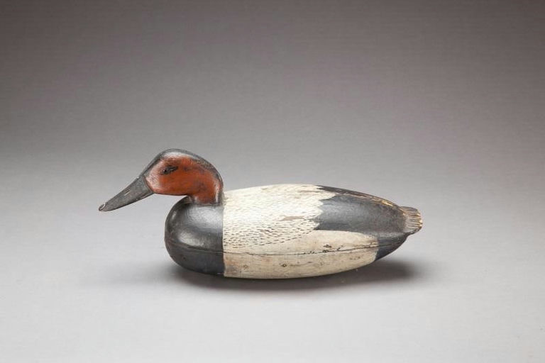 English Family – Canvasback Drake – 2013