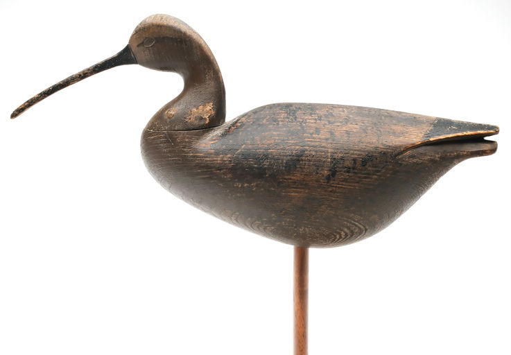 Cameron McIntyre – Curlew – 2026