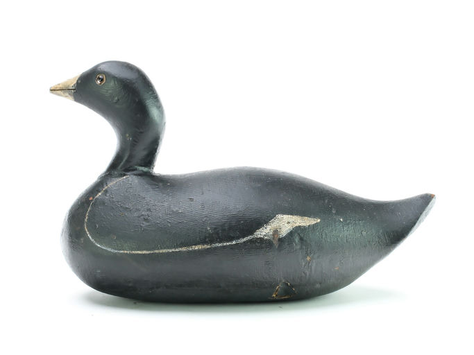 Mason Decoy Factory – Coot – 2025