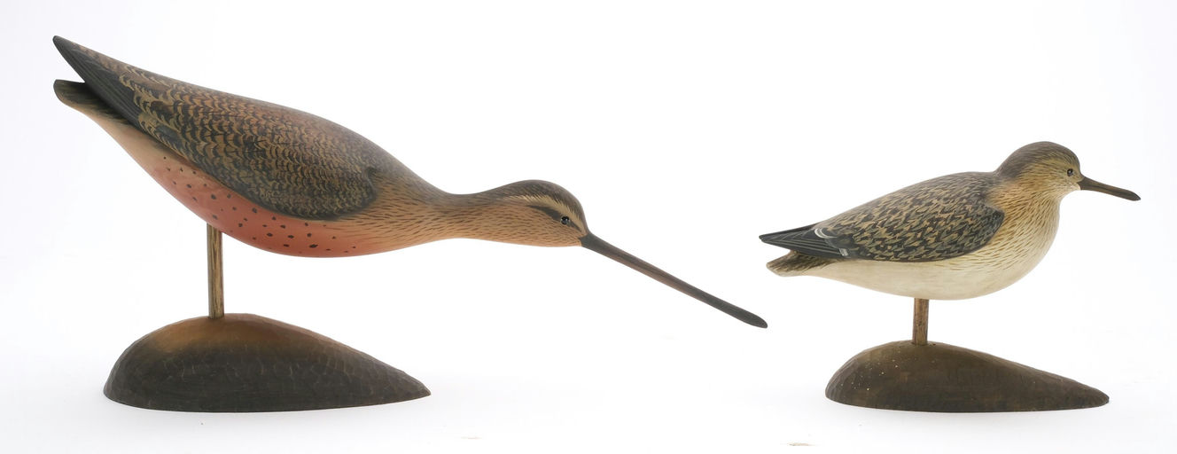 George Strunk – Pair of Sanderling – 2024