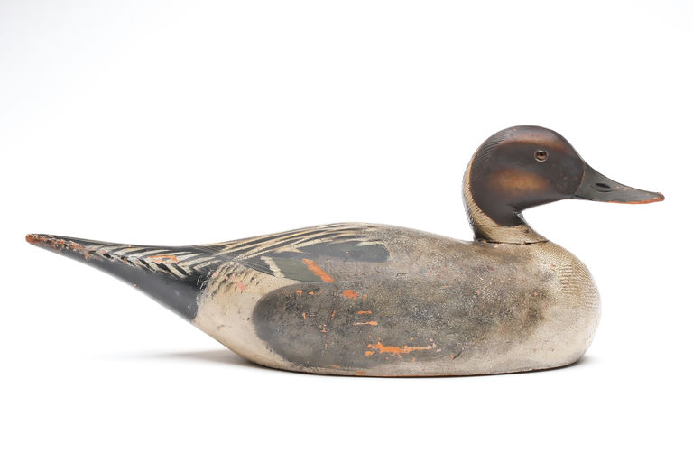 Elmer Crowell – Pintail – 2026