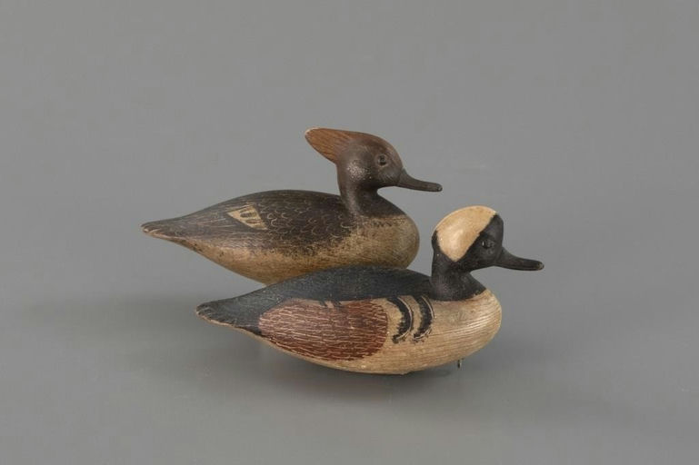 Mark McNair – Miniature Hooded Merganser Pair – 2025