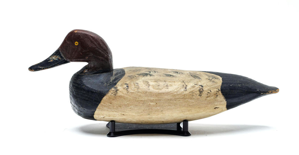 Doug Jester – Canvasback – 2026