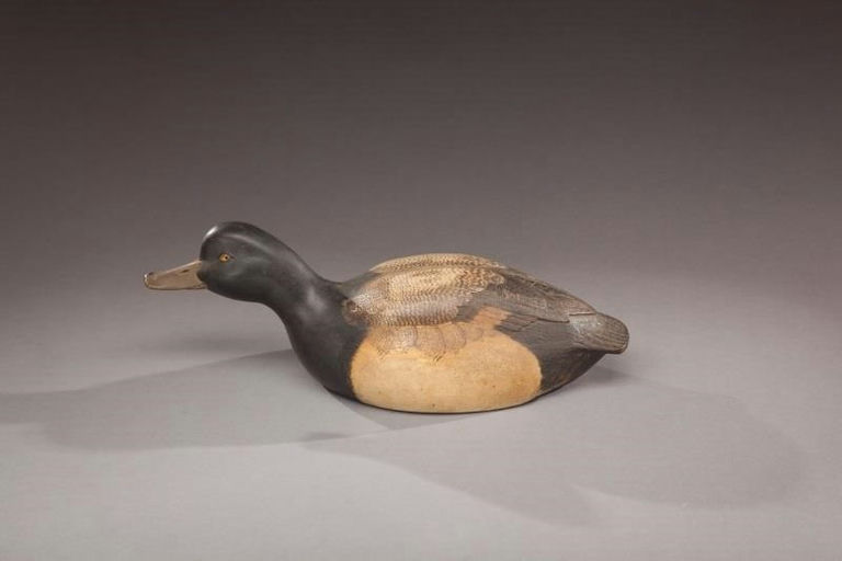 Tom Schroeder – Swimming Bluebill – 2012