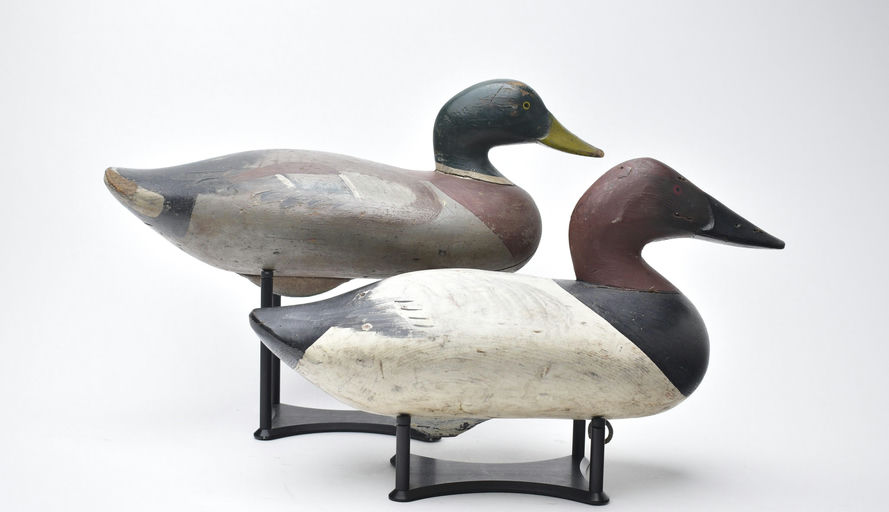 R. Madison Mitchell – Canvasback – 2025