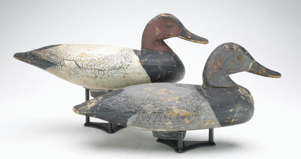 Doug Jester – Canvasback – 2023