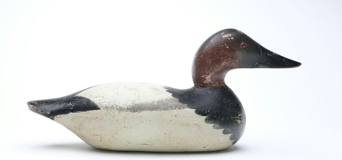 Mason Decoy Factory – Canvasback – 2026