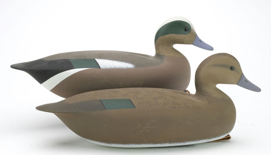 Jamie Hand – Wigeon – 2024