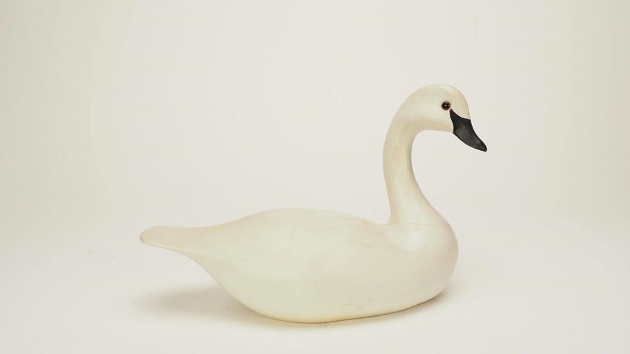 Harry V. Shourds III — Miniature Swan