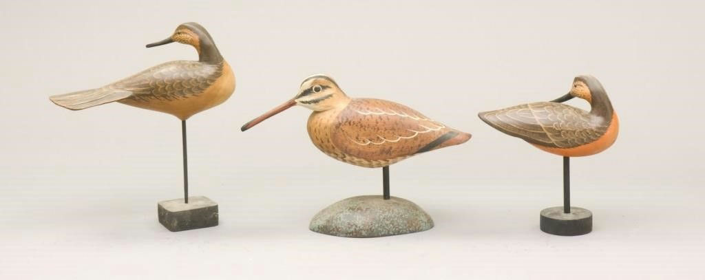Gary M. Starr – Two Preening Shorebirds and a Snipe – 2010