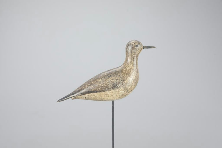 F. P. Smith – Plover – 2023