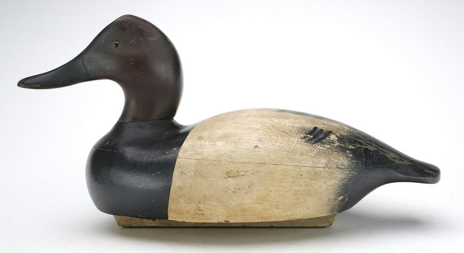 Wildfowler Decoy Company – Canvasback – 2024