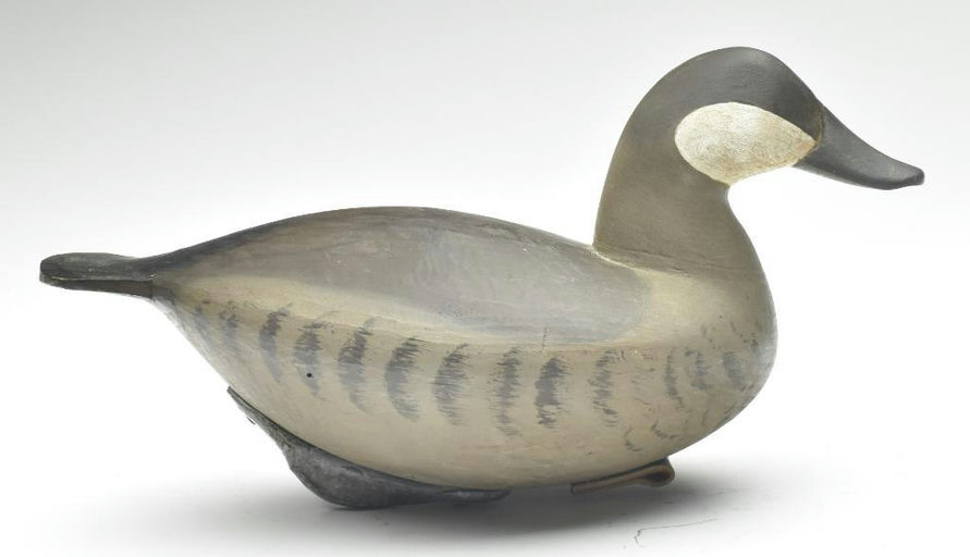 Pete Peterson – Ruddy Duck – 2023