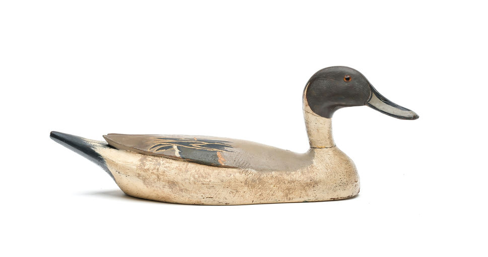 Horace Crandall – Pintail – 2025