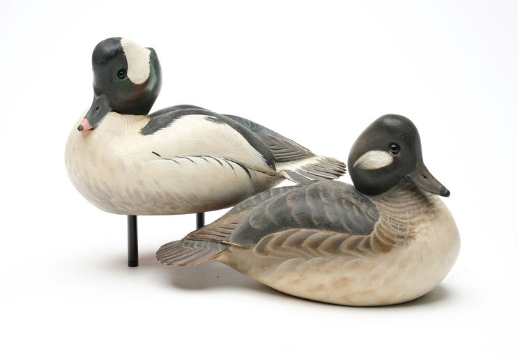 Ward Brothers – Pair of Decorative Bufflehead – 2026