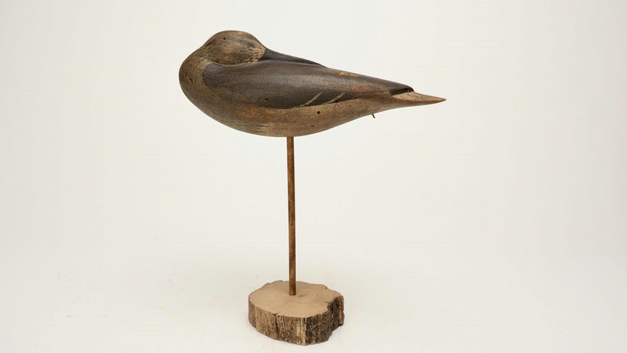 Matt Spielman — Preening Shorebird Decoy