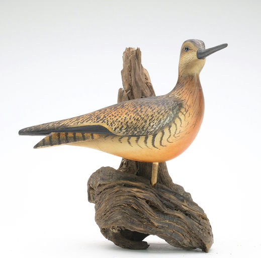 Bill Gibian – Dowitcher – 2024
