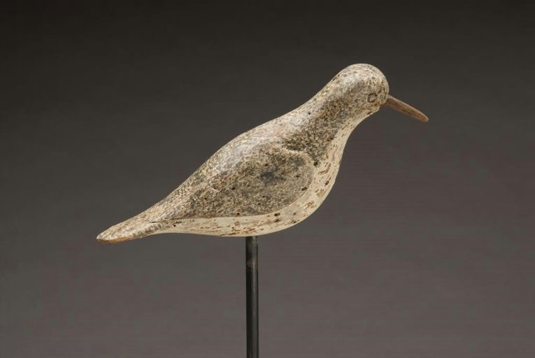 Verity Family – Sanderling – 2010