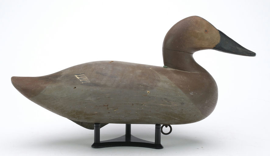 R. Madison Mitchell – Canvasback Hen – 2024