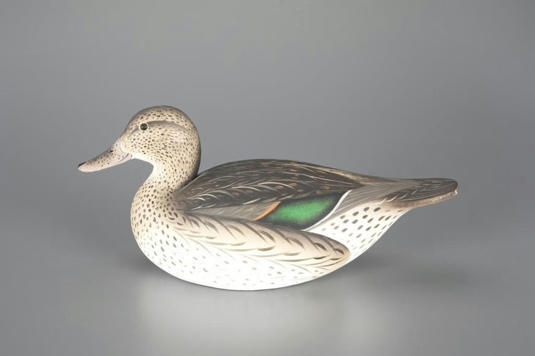 Leo McIntosh – Green-Winged Teal Hen – 2024