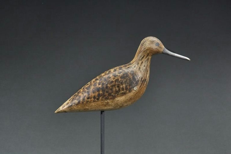 Harry V. Shourds – Yellowlegs – 2017