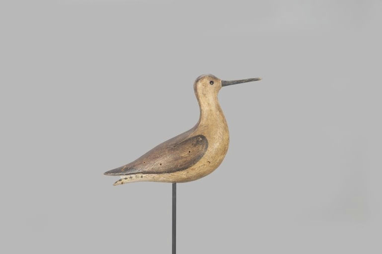 Lothrop Holmes – Early Dowitcher – 2022