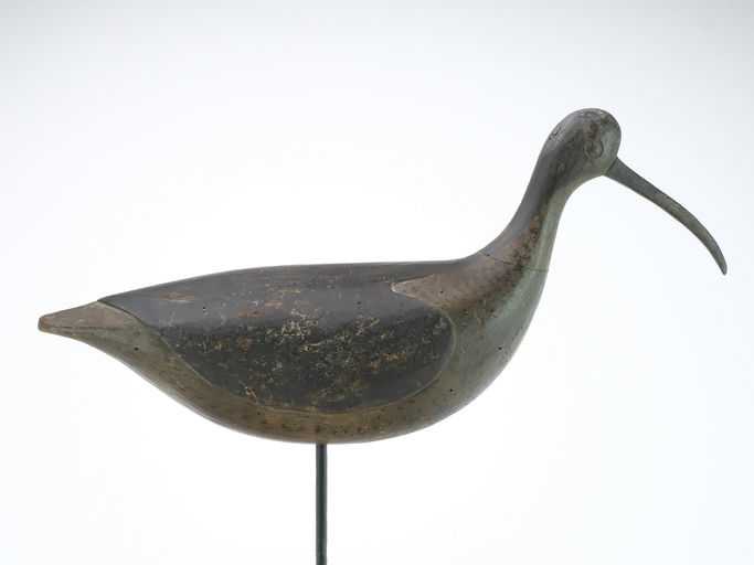 Cameron McIntyre – Curlew – 2024