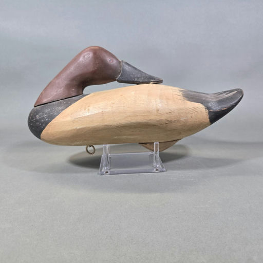 Steven Lay — Canvasback