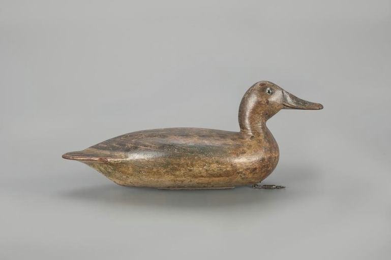 Robert Elliston – Trego-Rig Blue-Winged Teal – 2023