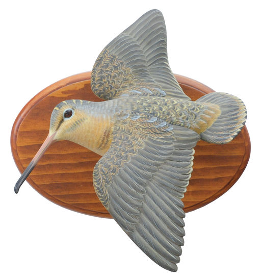 Ben A. Heinemann – Woodcock – 2024