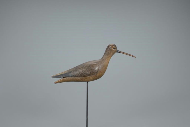 Mark McNair – Running Willet – 2020