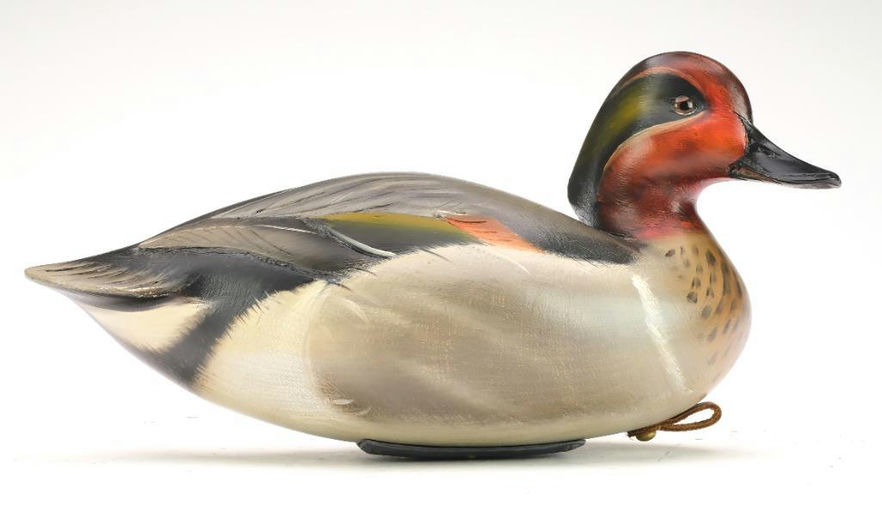 Sean Sutton – Green-winged Teal – 2024
