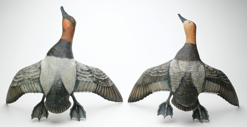 Mike Borrett – Canvasback – 2026