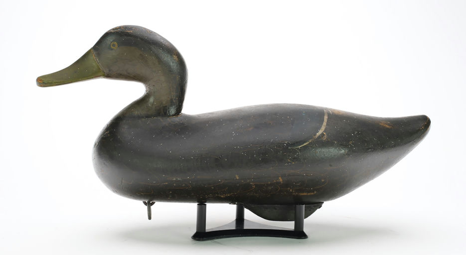 R. Madison Mitchell – Black Duck – 2024