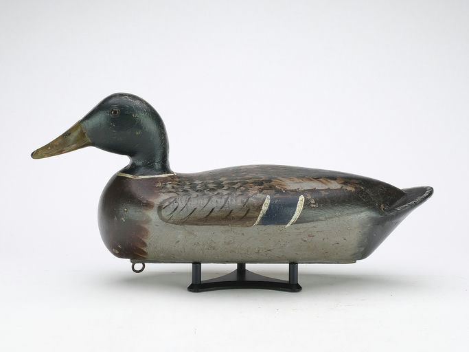 Bert Graves – Mallard – 2024