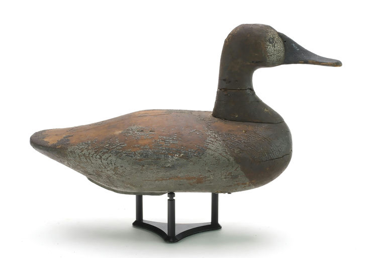 Bob McGaw – Canvasback Hen – 2024