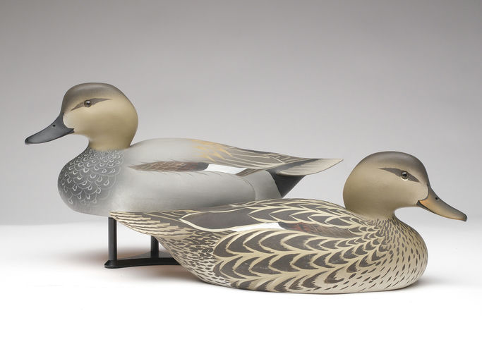 Oliver Lawson – Pair of Gadwall – 2023