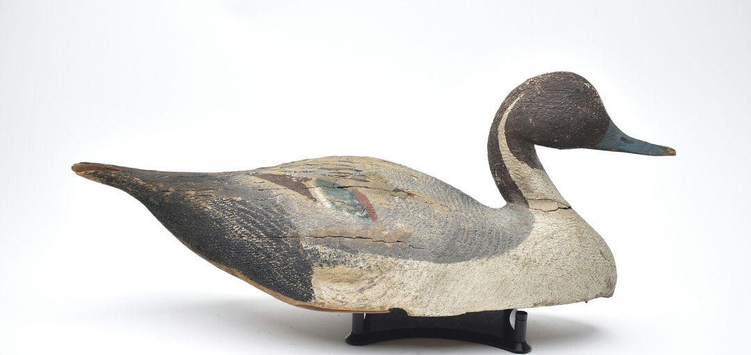 Lloyd Tyler – Pintail – 2025