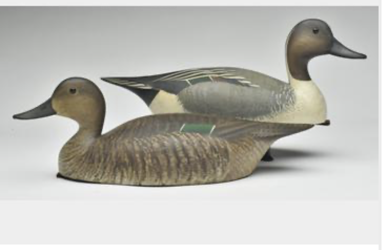Marty Hanson – Pintail