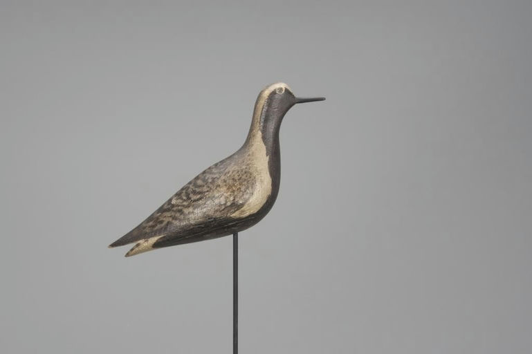 Lothrop Holmes – Black-Bellied Plover – 2018